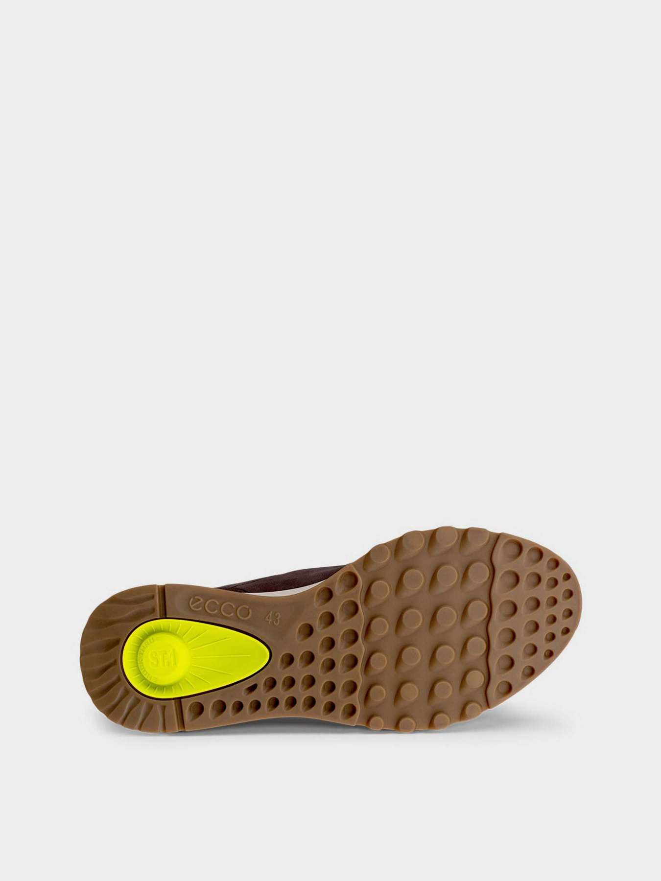 Кросівки ECCO Exostride модель 83530402178 Фото