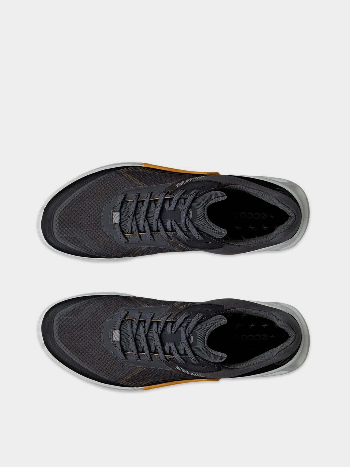 Кросівки ECCO Biom 2.1 x Mountain модель 82389461183 Фото