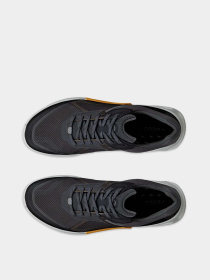 Кросівки ECCO Biom 2.1 x Mountain модель 82389461183 Фото