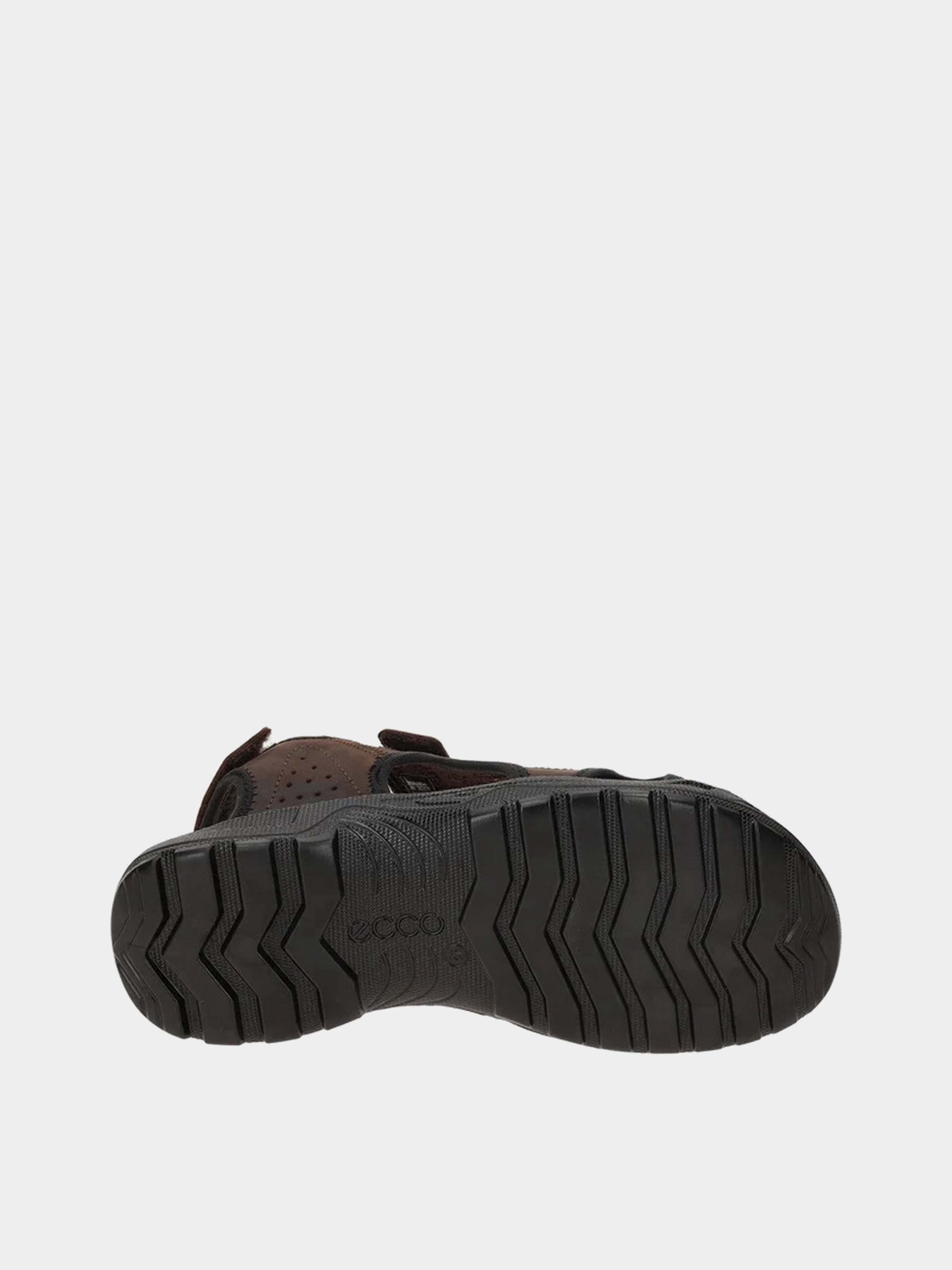 Сандалии ECCO Hike модель 53230402482 Сандалии ECCO Hike модель 53230402482 Фото