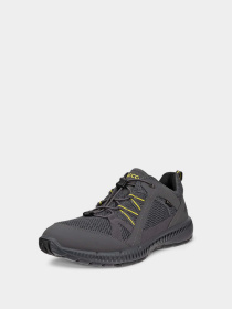 Кроссовки ECCO Terracruise II модель 84306450869 Фото