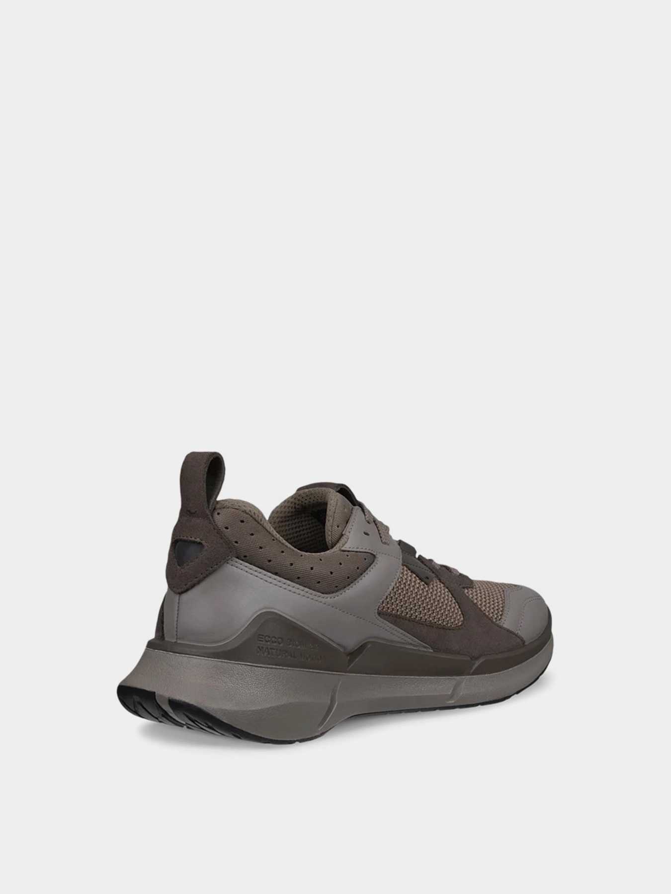 Кросівки ECCO Biom 2.2 Модель 83077461303 Фото