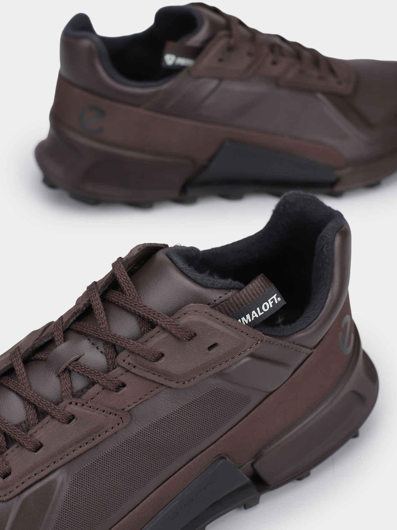 Кросівки аутдор ECCO Biom 2.1 X Mountain модель 82387458290 Фото