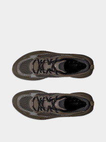 Кросівки ECCO Biom 2.2 Модель 83091461367 Фото