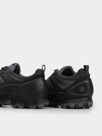 Кросівки ECCO Biom C-Trail модель 80346451094 Фото