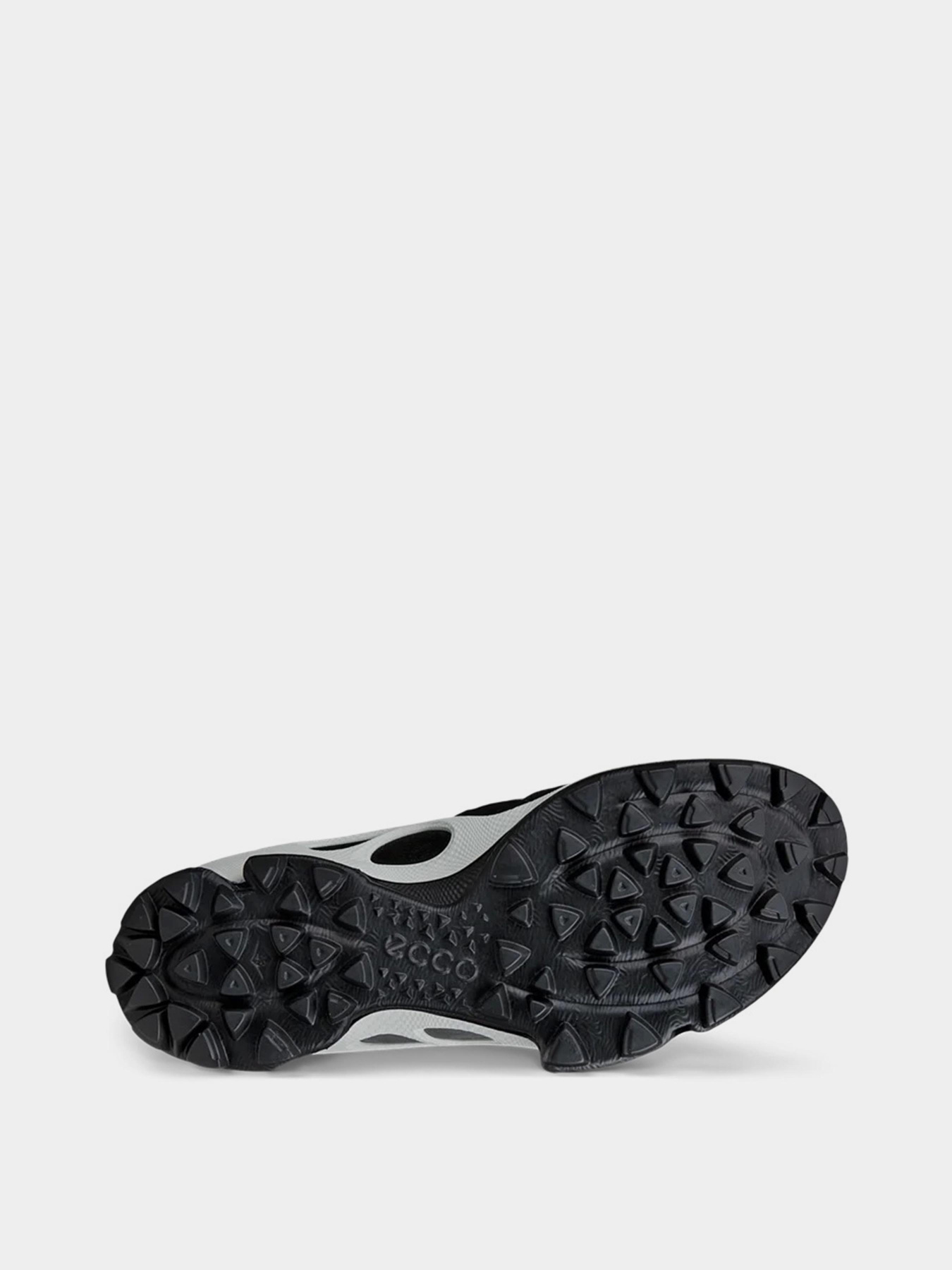 Кросівки ECCO Biom C-Trail Модель 80347460266 Фото