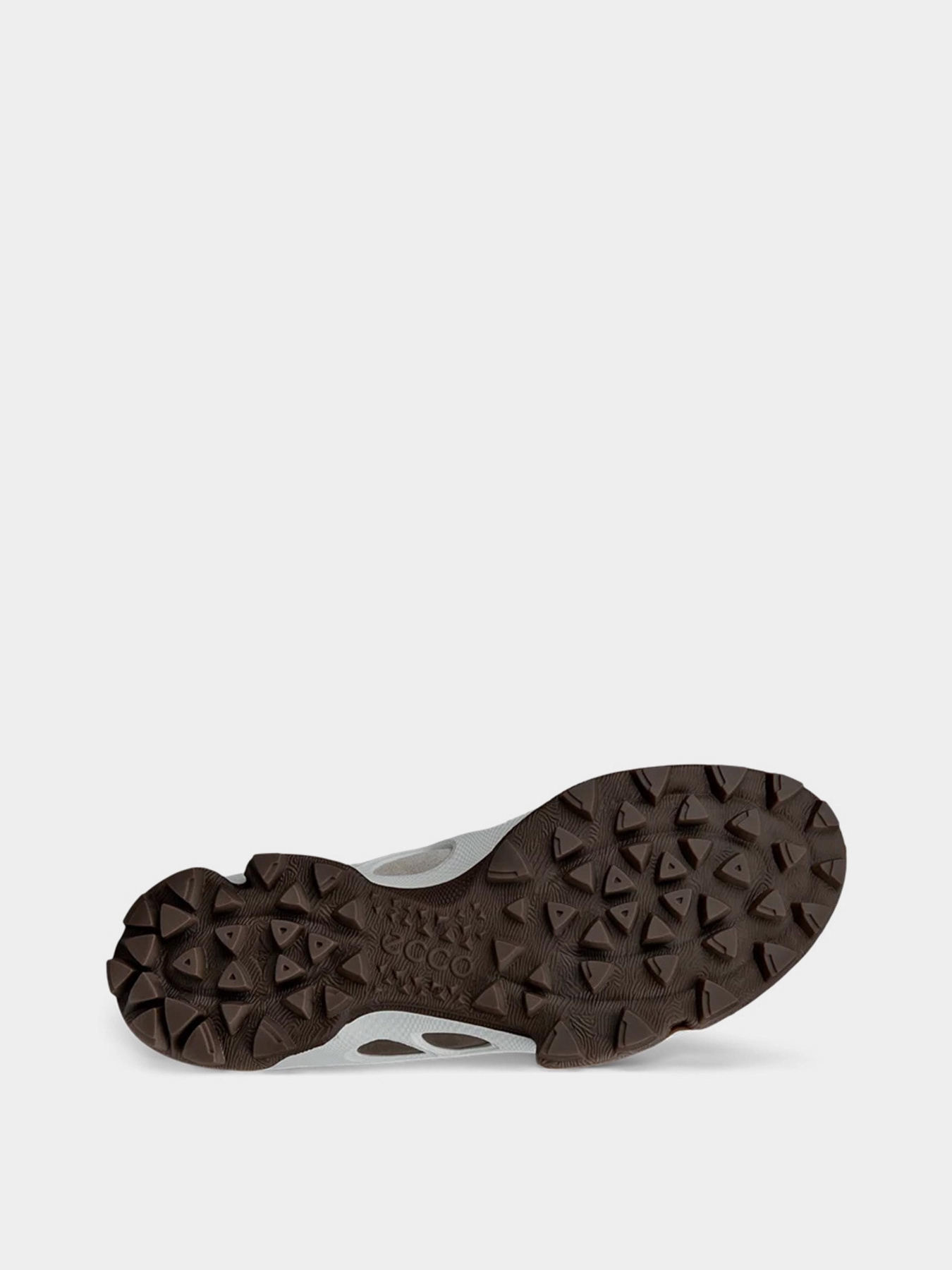 Кроссовки ECCO ECCO Biom C-Trail модель 80347461419 Фото