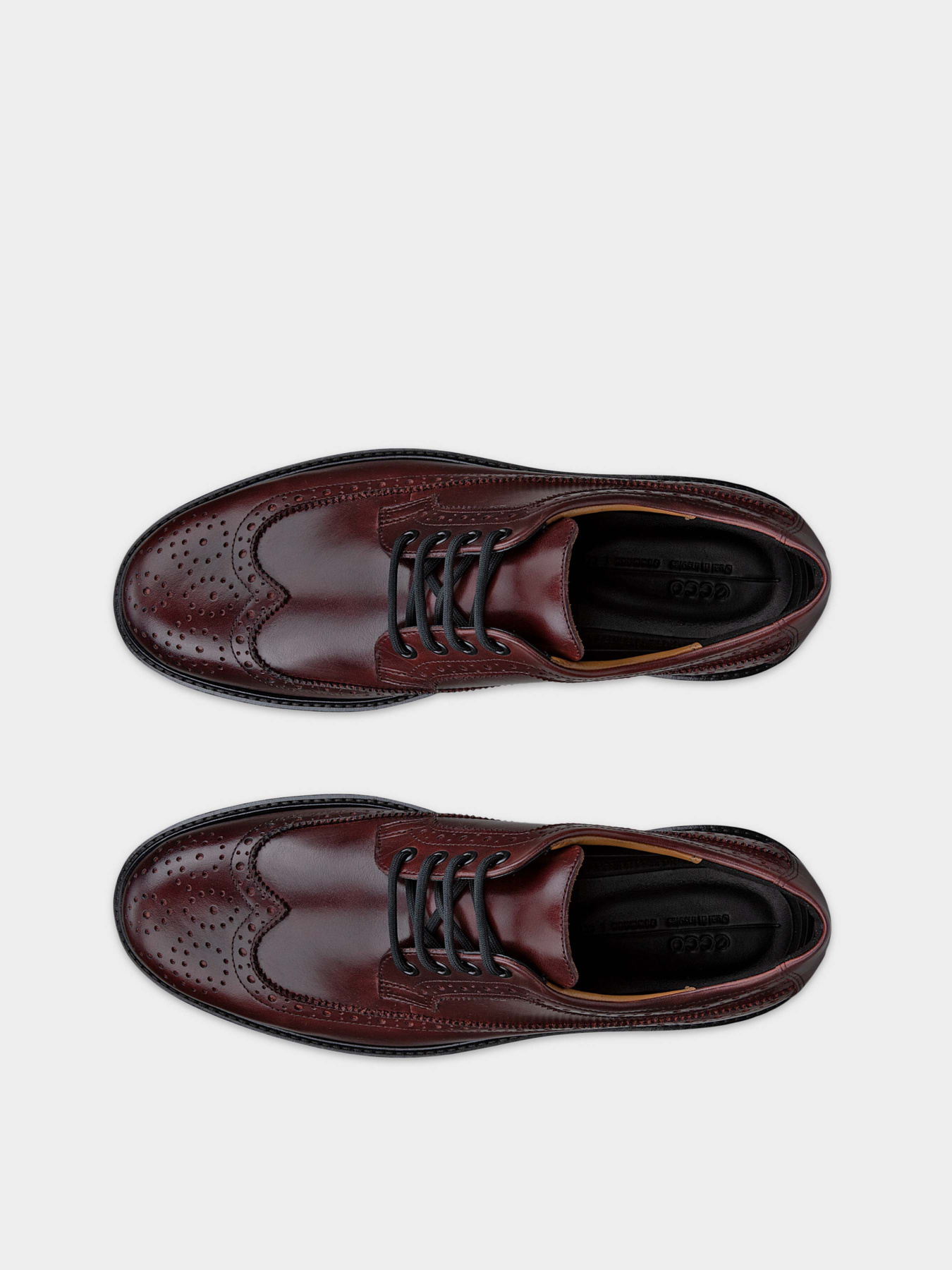 Броги ECCO модель 55021461442 Фото