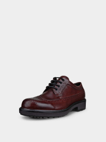 Броги ECCO модель 55021461442 Фото