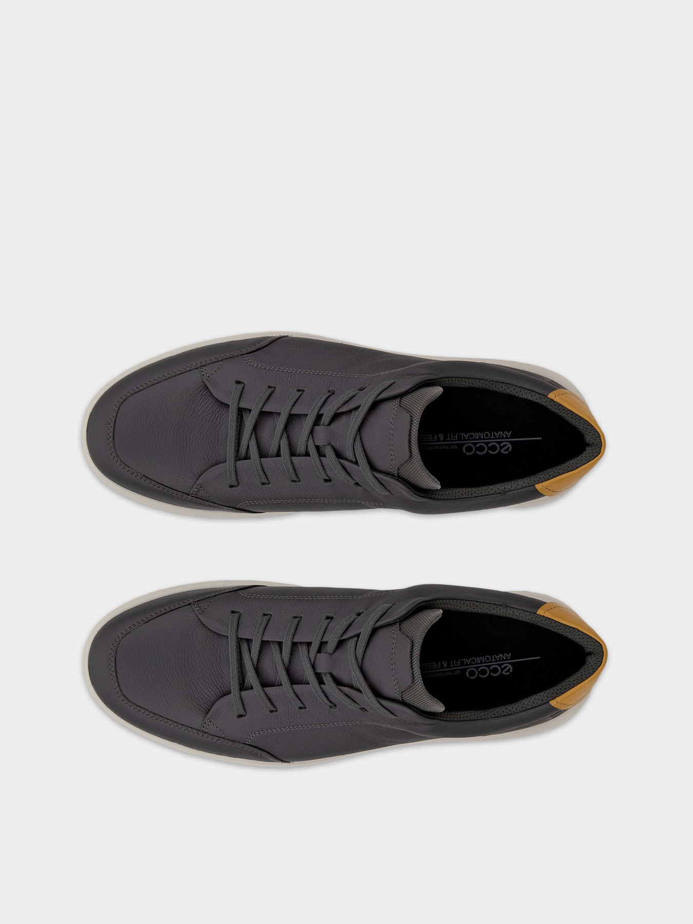 Кеди низькі ECCO модель 55160461376 Фото