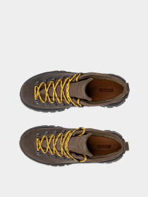 Ботинки аутдор ECCO модель 55061405559 Фото