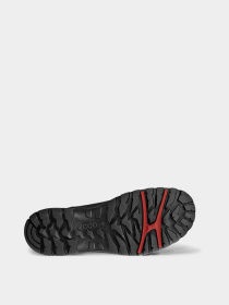 Ботинки ECCO модель 81141402001 Фото