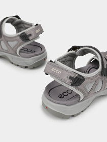 ECCO 06956402013 модель 06956402013 Фото