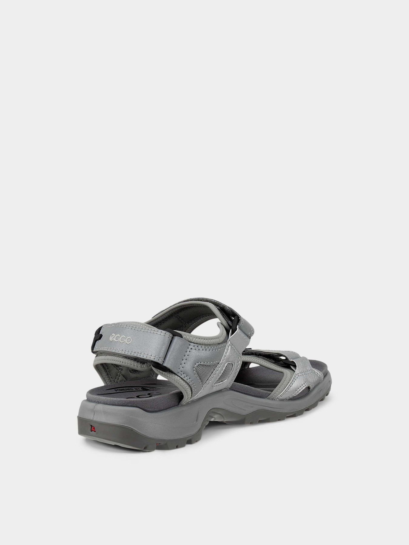 ECCO 82225461662 модель 82225461662 ECCO 82225461662 модель 82225461662 Фото