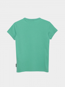 Футболка Napapijri Box модель NP0A4G4PGF31 Футболка Napapijri Box модель NP0A4G4PGF31 Фото