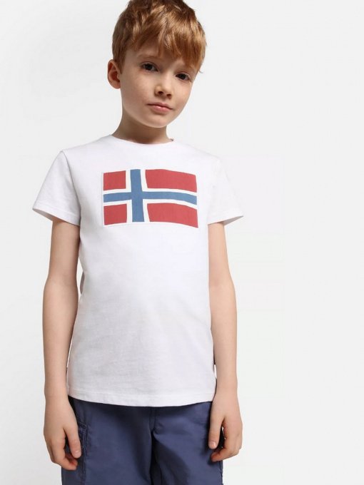 Футболка Napapijri Verte модель NP0A4G4D0021 Фото