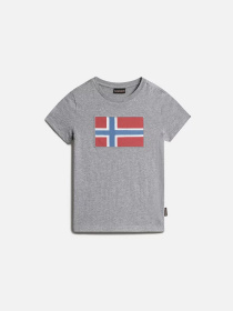 Футболка Napapijri Verte модель NP0A4G4D1601 Фото