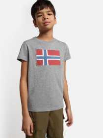 Футболка Napapijri Verte модель NP0A4G4D1601 Фото