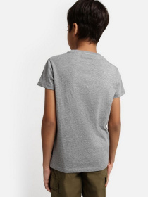 Футболка Napapijri Verte модель NP0A4G4D1601 Фото