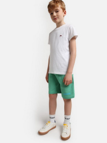 Футболка Napapijri Salis модель NP0A4GEH0021 Фото