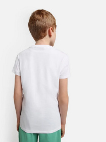 Футболка Napapijri Salis модель NP0A4GEH0021 Фото