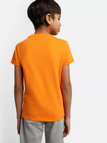 Футболка Napapijri Salis модель NP0A4GEHAR91 Фото