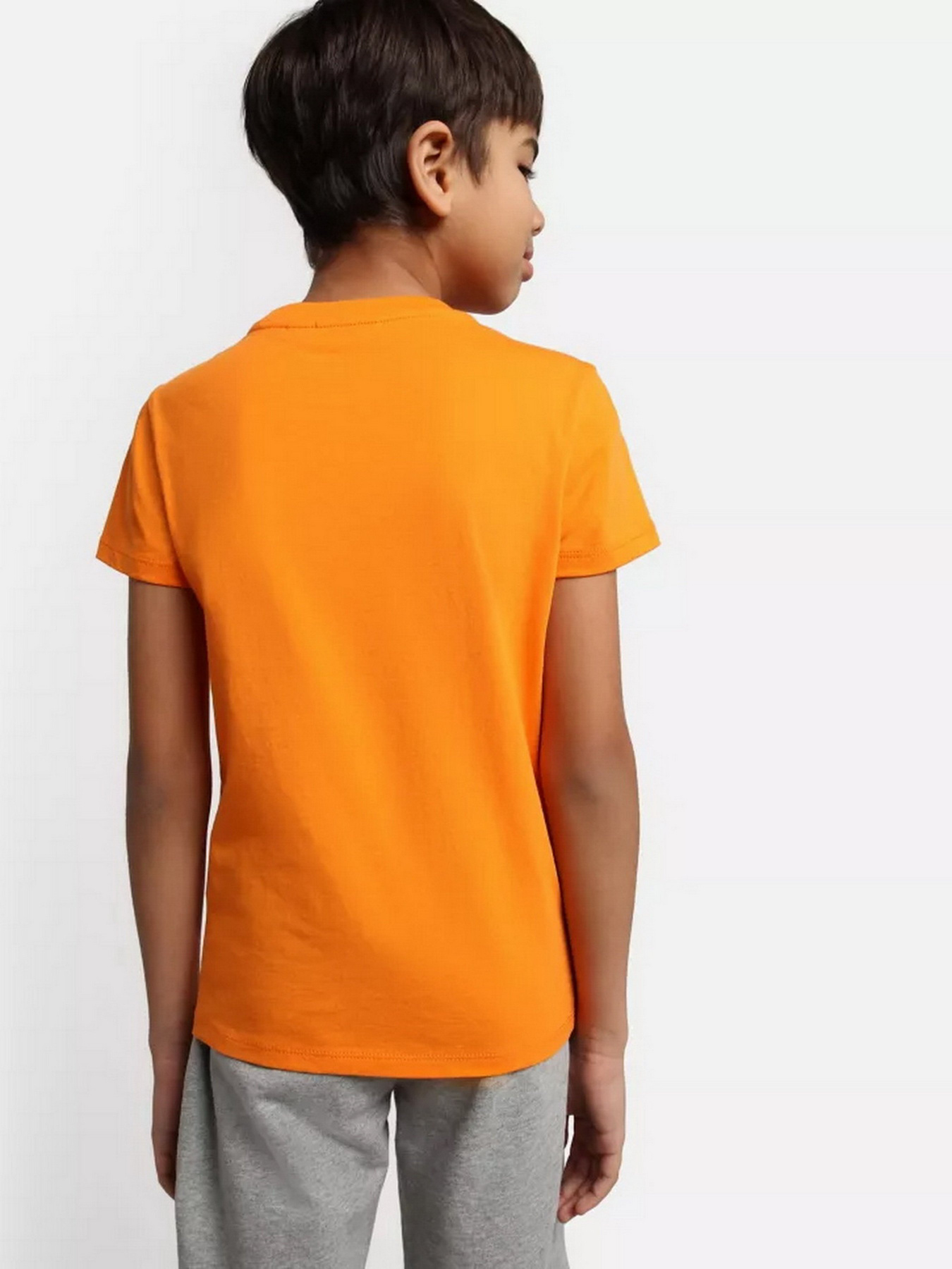 Футболка Napapijri Salis модель NP0A4GEHAR91 Фото