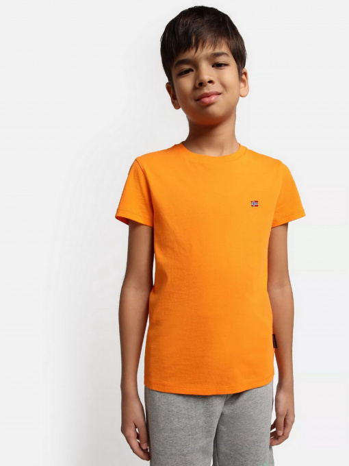 Футболка Napapijri Salis модель NP0A4GEHAR91 Фото