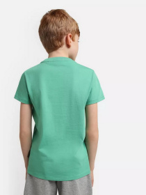 Футболка Napapijri Salis модель NP0A4GEHGF31 Фото