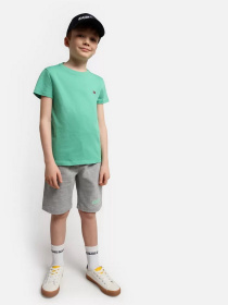 Футболка Napapijri Salis модель NP0A4GEHGF31 Фото