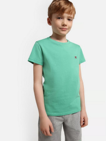 Футболка Napapijri Salis модель NP0A4GEHGF31 Фото