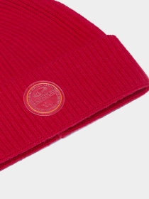 Шапка Napapijri F-Singine модель NP0A4I86R061 Фото