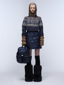 Рюкзак Napapijri H-Bagne Dp 20L модель NP0A4I981761 Фото