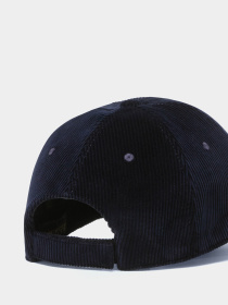 Кепка Napapijri F-Aar модель NP0A4IB21761 Фото