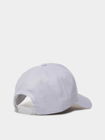 Кепка Napapijri Framing модель NP0A4F930021 Фото