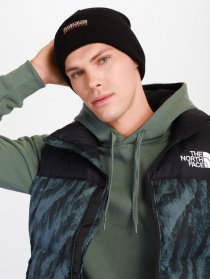 Шапка Napapijri FARO 1 модель NP0A4FRX0411 Фото