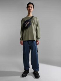 Поясная сумка Napapijri Hering Wb 3 модель NP0A4GGP1761 Фото