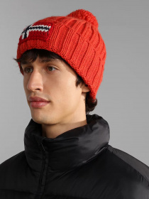 Шапка Napapijri  Semiury модель NP0A4GKBRR91 Фото