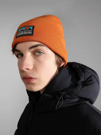 Шапка Napapijri  Mountain модель NP0A4GROAA31 Фото