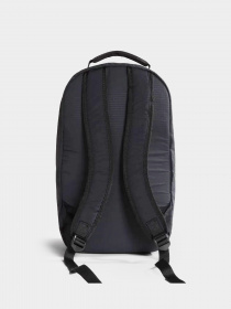 Рюкзак Napapijri H-SALINAS DP модель NP0A4H830411 Фото