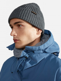 Шапка Napapijri Foli 3 модель NP0A4GK81971 Фото