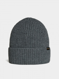 Шапка Napapijri Foli 3 модель NP0A4GK81971 Фото