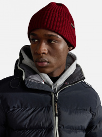 Шапка Napapijri Foli 3 модель NP0A4GK8R541 Фото