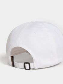 Кепка Napapijri Falis 2 модель NP0A4HNA0021 Фото