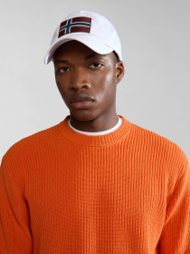 Кепка Napapijri Falis 2 модель NP0A4HNA0021 Фото