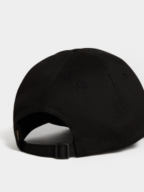 Кепка Napapijri Falis 2 модель NP0A4HNA0411 Фото