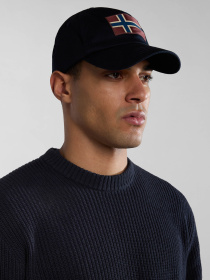 Кепка Napapijri Falis 2 модель NP0A4HNA1761 Фото