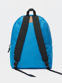 Повседневный рюкзак Napapijri Voyage 3 20,8L модель NP0A4GGHB2P1 Фото