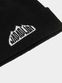 Шапка Napapijri F-Mountain 2 модель NP0A4HXL0411 Фото