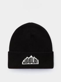 Шапка Napapijri F-Mountain 2 модель NP0A4HXL0411 Фото